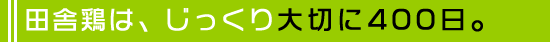 �c�Ɍ{�́A���������؂�400��