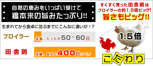 �������T�F��������������c�Ɍ{�́A�T�C�Y���|�����r�b�O�T�C�Y�I