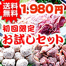 �������  �c�Ɍ{�������Z�b�g�̏ڍׂ�����