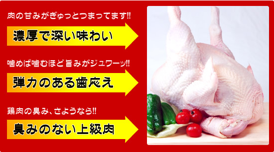 �c�Ɍ{�̔��������̓���