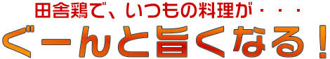 �c�Ɍ{�Ȃ炢���̗������|���Ȃ�I