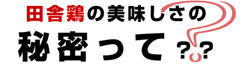 �c�Ɍ{�̔��������̔閧