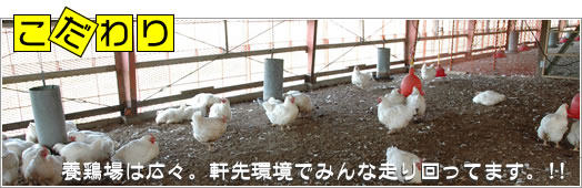 こだわり2：田舎の旨い鶏を再現し、更に味や質を追及